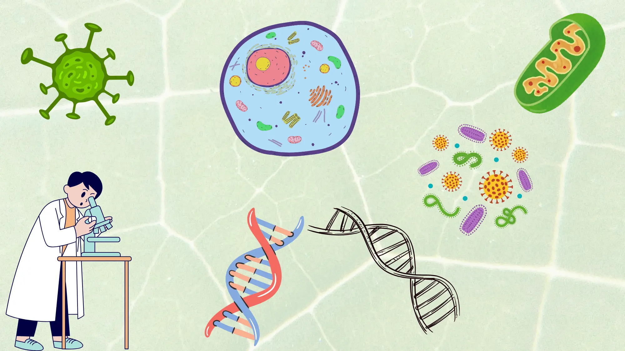 Biology